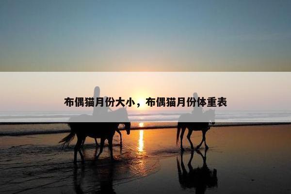 布偶猫月份大小，布偶猫月份体重表