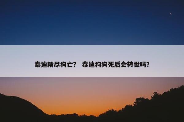 泰迪精尽狗亡？ 泰迪狗狗死后会转世吗？
