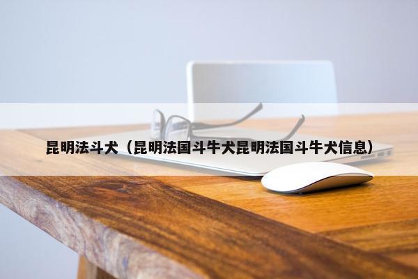 昆明法斗犬（昆明法国斗牛犬昆明法国斗牛犬信息）