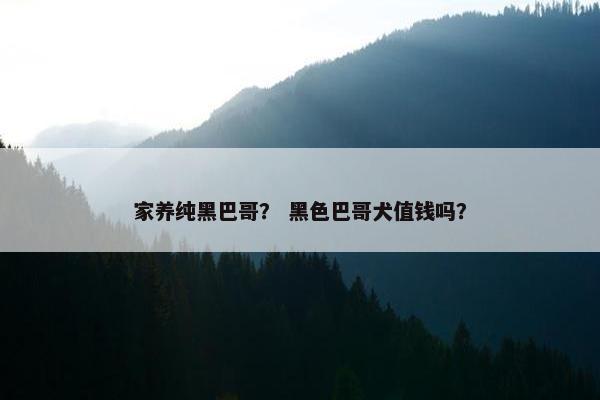 家养纯黑巴哥？ 黑色巴哥犬值钱吗？