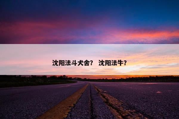 沈阳法斗犬舍？ 沈阳法牛？