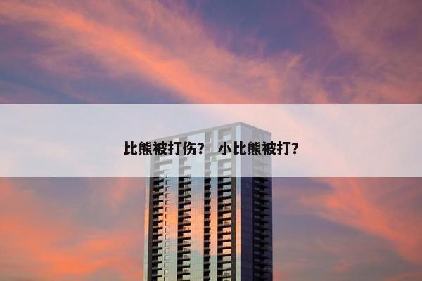 比熊被打伤？ 小比熊被打？