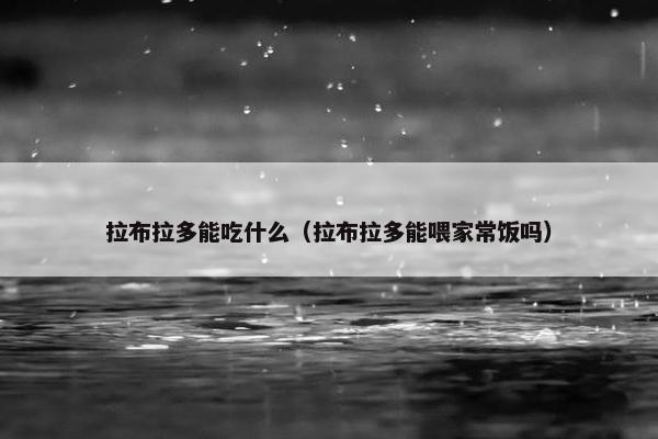 拉布拉多能吃什么（拉布拉多能喂家常饭吗）