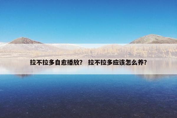 拉不拉多自愈播放？ 拉不拉多应该怎么养？