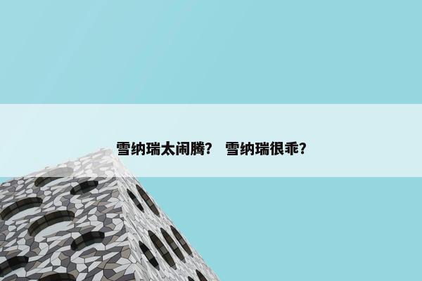 雪纳瑞太闹腾？ 雪纳瑞很乖？