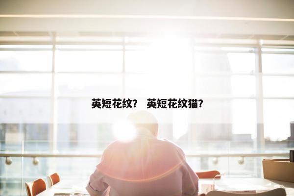 英短花纹？ 英短花纹猫？