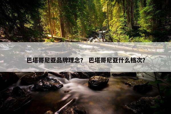 巴塔哥尼亚品牌理念？ 巴塔哥尼亚什么档次？
