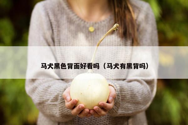 马犬黑色背面好看吗（马犬有黑背吗）