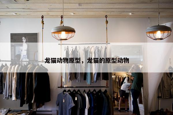 龙猫动物原型，龙猫的原型动物