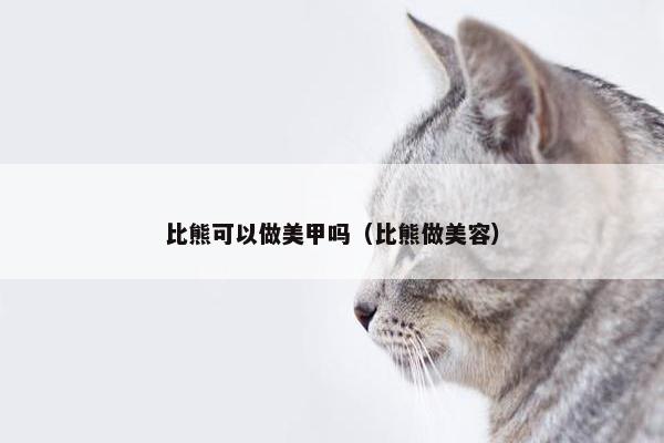 比熊可以做美甲吗（比熊做美容）