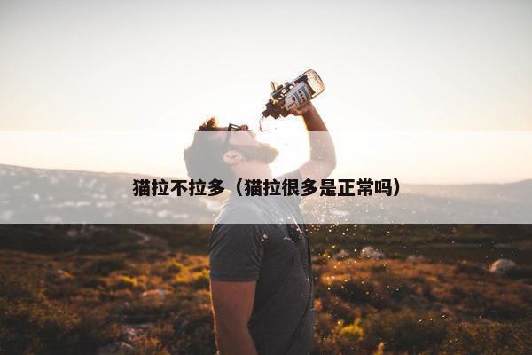 猫拉不拉多（猫拉很多是正常吗）