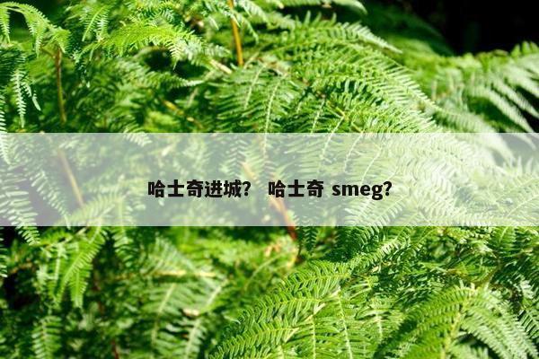 哈士奇进城？ 哈士奇 smeg？