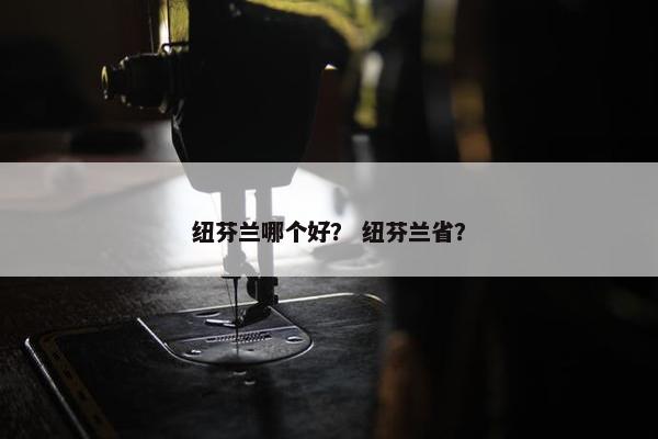 纽芬兰哪个好？ 纽芬兰省？