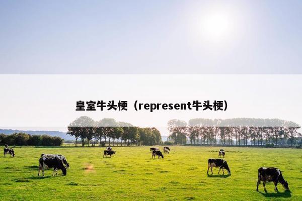 皇室牛头梗（represent牛头梗）