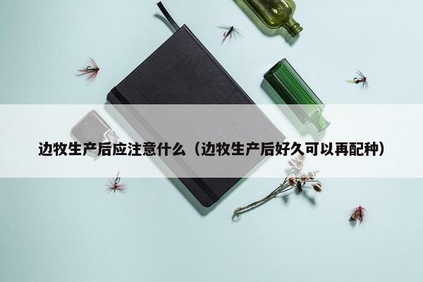 边牧生产后应注意什么（边牧生产后好久可以再配种）