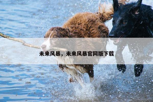 未来风暴，未来风暴官网版下载