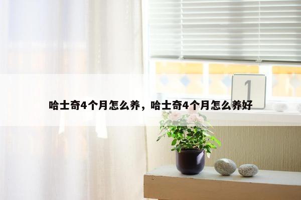 哈士奇4个月怎么养，哈士奇4个月怎么养好