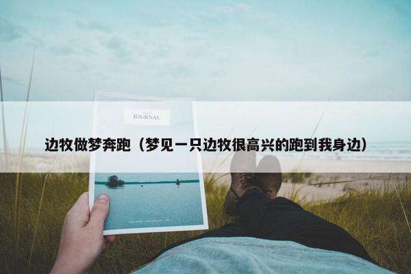 边牧做梦奔跑（梦见一只边牧很高兴的跑到我身边）