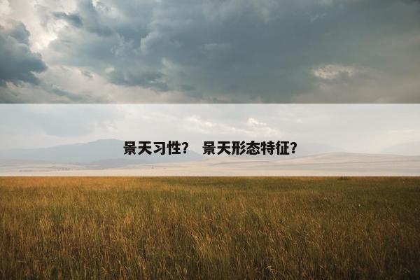 景天习性？ 景天形态特征？