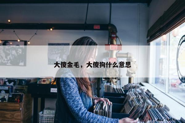 大傻金毛，大傻狗什么意思