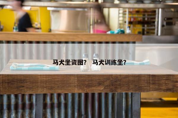 马犬坐资图？ 马犬训练坐？