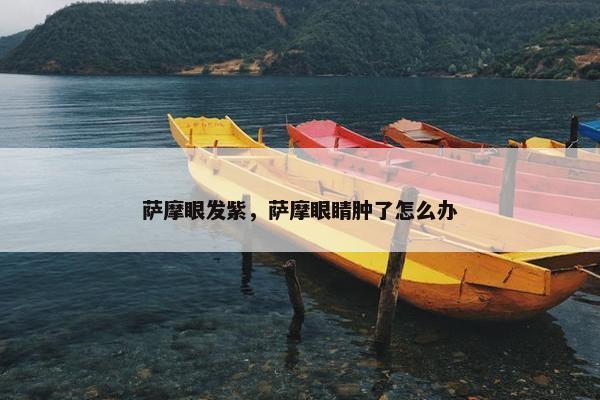 萨摩眼发紫，萨摩眼睛肿了怎么办