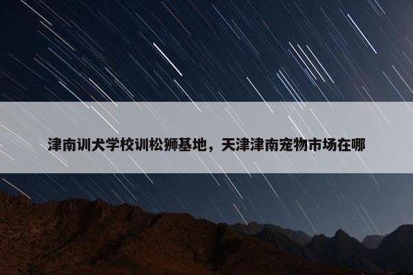 津南训犬学校训松狮基地，天津津南宠物市场在哪