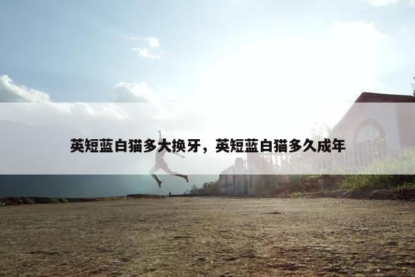 英短蓝白猫多大换牙，英短蓝白猫多久成年