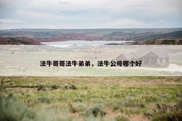法牛哥哥法牛弟弟，法牛公母哪个好
