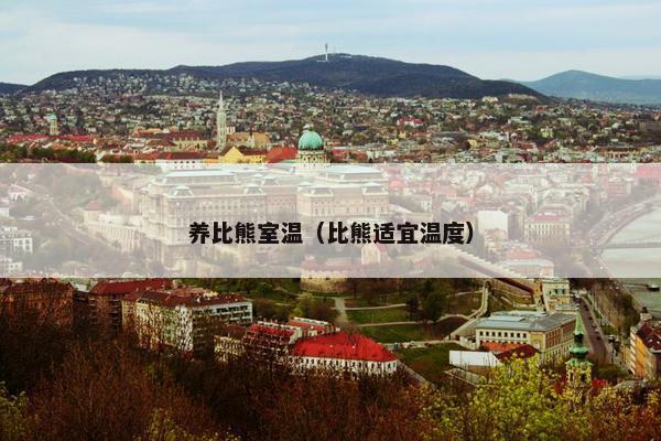 养比熊室温（比熊适宜温度）