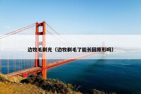 边牧毛剃光（边牧剃毛了能长回原形吗）