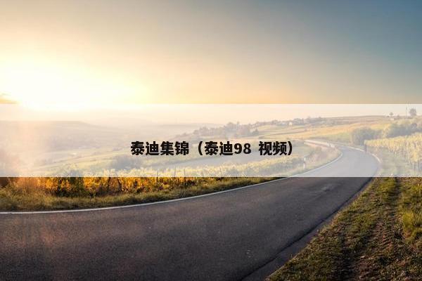 泰迪集锦（泰迪98 视频）