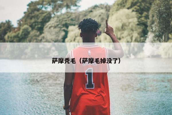 萨摩秃毛（萨摩毛掉没了）