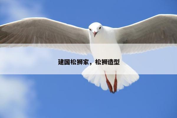 建国松狮家，松狮造型