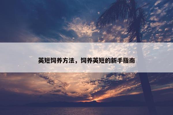 英短饲养方法，饲养英短的新手指南
