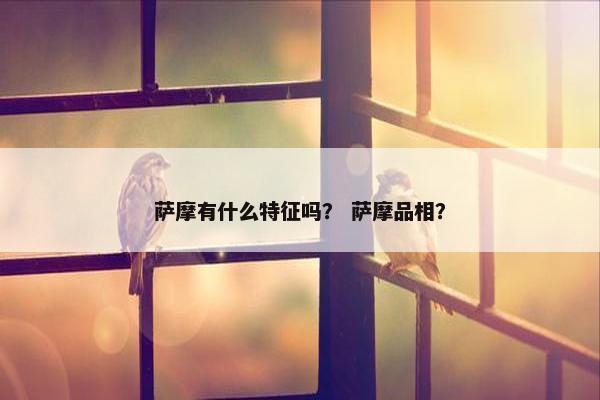 萨摩有什么特征吗？ 萨摩品相？