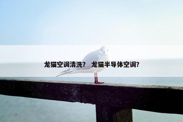 龙猫空调清洗？ 龙猫半导体空调？