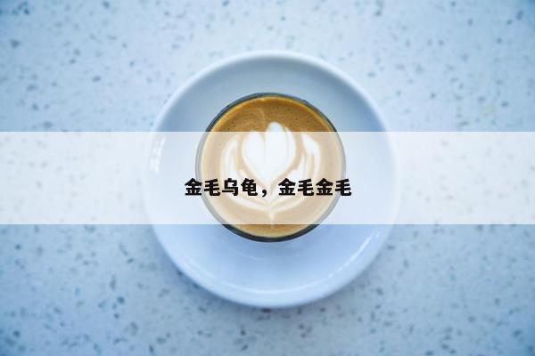 金毛乌龟，金毛金毛