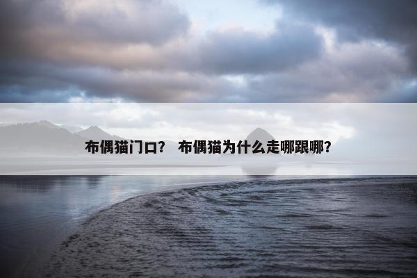 布偶猫门口？ 布偶猫为什么走哪跟哪？