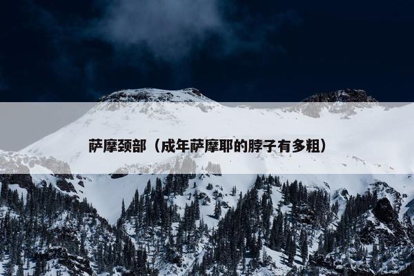 萨摩颈部（成年萨摩耶的脖子有多粗）
