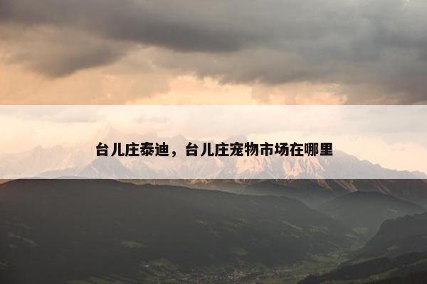 台儿庄泰迪，台儿庄宠物市场在哪里