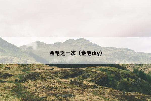 金毛之一次（金毛diy）