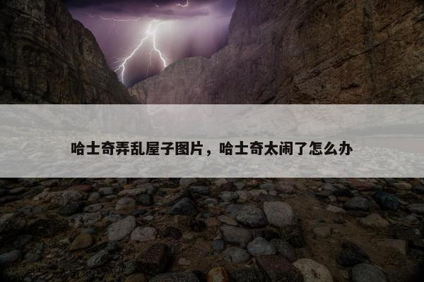 哈士奇弄乱屋子图片，哈士奇太闹了怎么办