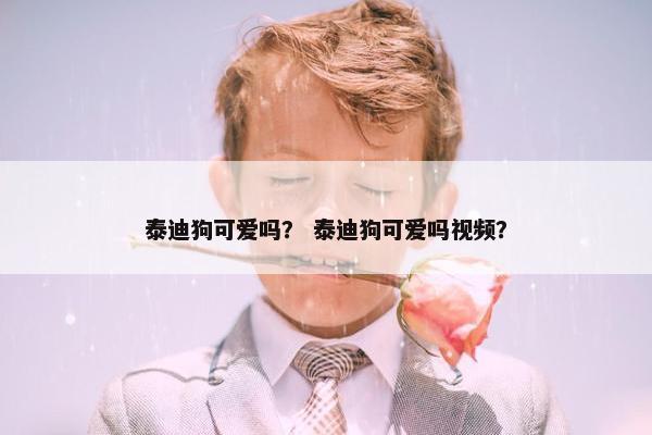 泰迪狗可爱吗？ 泰迪狗可爱吗视频？