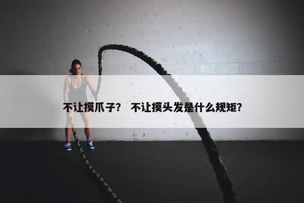 不让摸爪子？ 不让摸头发是什么规矩？