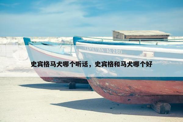 史宾格马犬哪个听话，史宾格和马犬哪个好