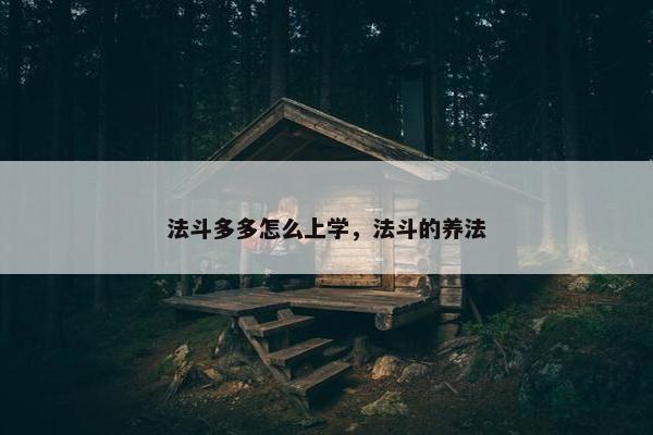 法斗多多怎么上学，法斗的养法