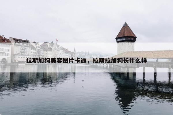 拉斯加狗美容图片卡通，拉斯拉加狗长什么样