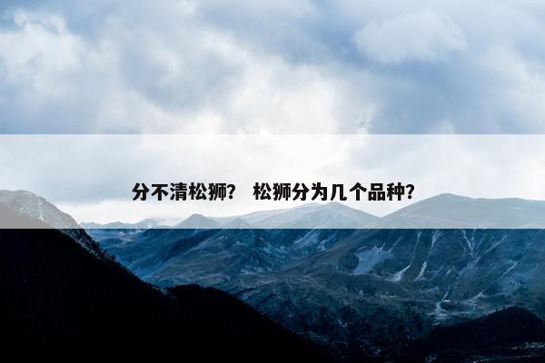 分不清松狮？ 松狮分为几个品种？