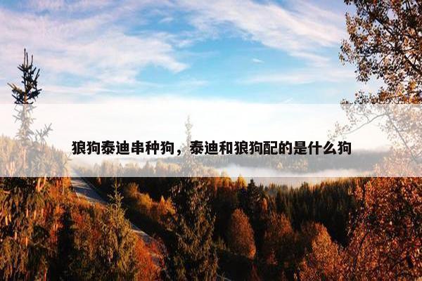 狼狗泰迪串种狗，泰迪和狼狗配的是什么狗